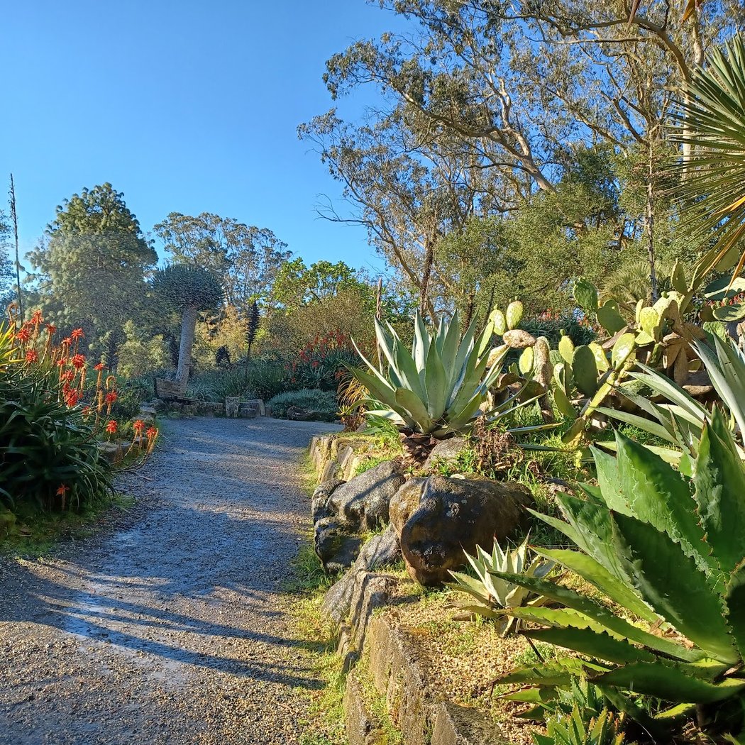 Ask A Master Gardener 3